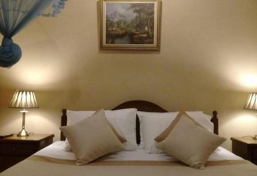 带大床的标准间, Avondale Colombo