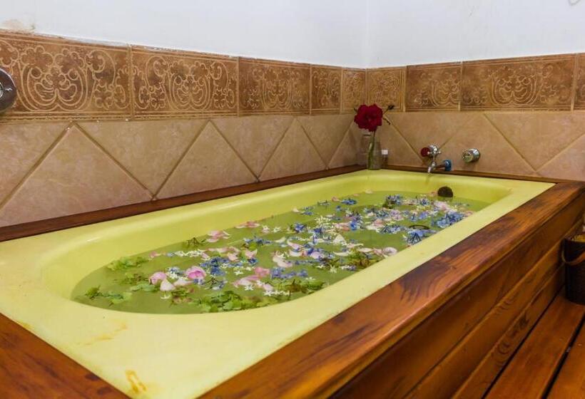 스위트 킹사이즈 침대, Pousada Paraiso Do Alto