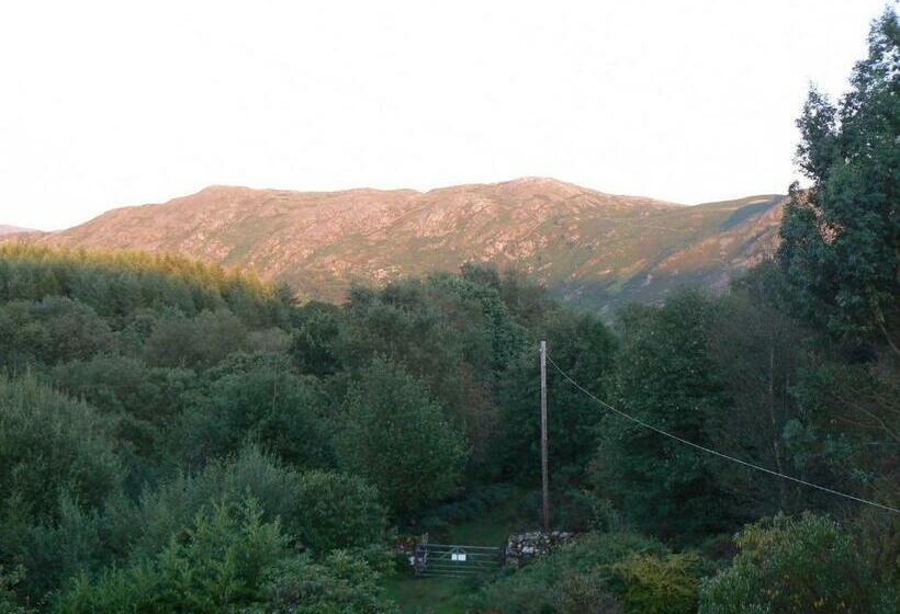 Номер Стандарт, Forest How Guest House