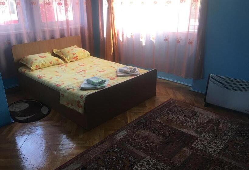 اتاق استاندارد با سرویس بهداشتی مشترک, Vila La Izvorul Putinei