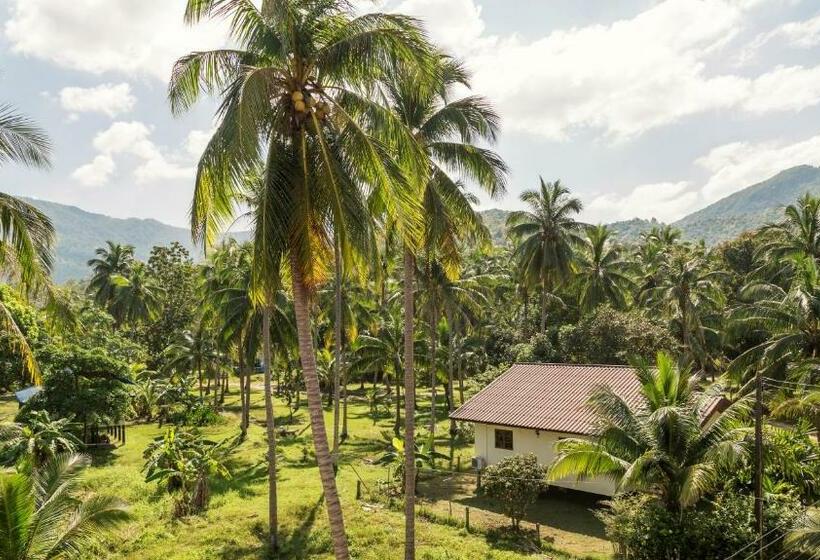 Номер Стандарт, Mythai Guesthouse