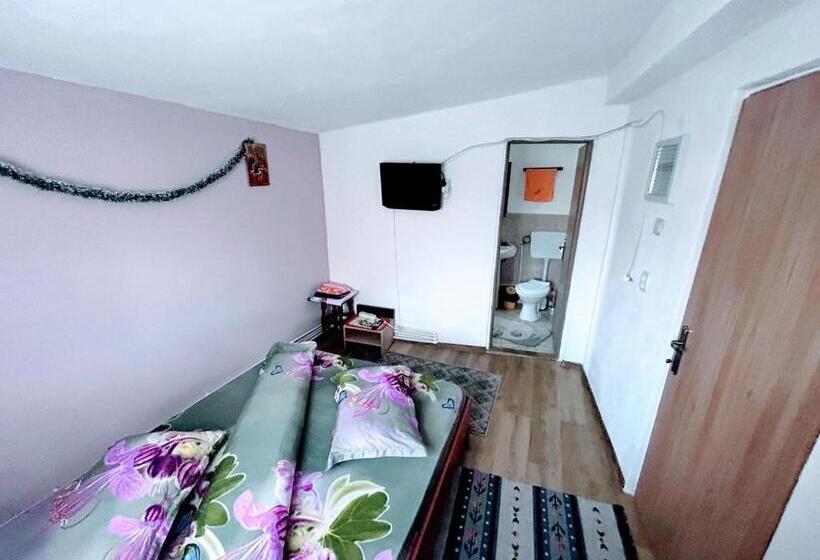 Номер Стандарт, Casa Andreea