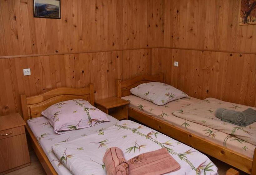 Номер Стандарт, Guest House Mandrivnyi Rooms&apartments