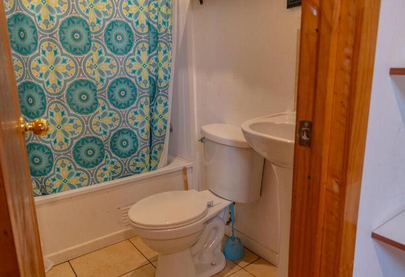 Апартаменты 1 Спальня, Cabañas Hostel Aquario Papudo