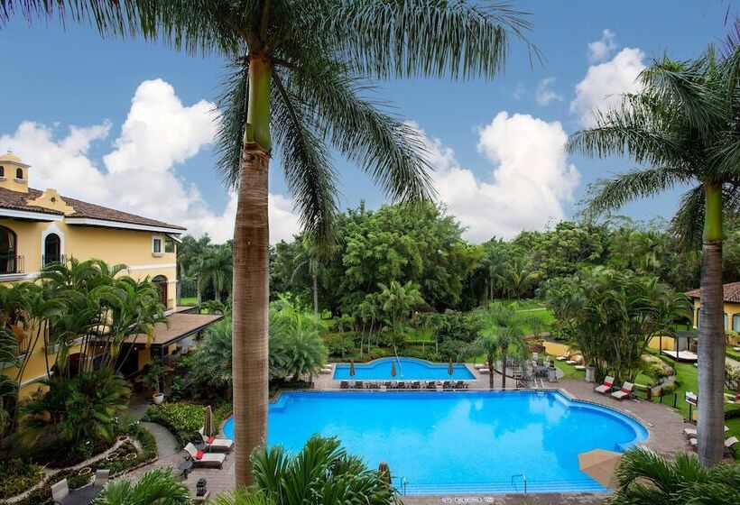 اتاق اجرایی, Costa Rica Marriott Hotel Hacienda Belen