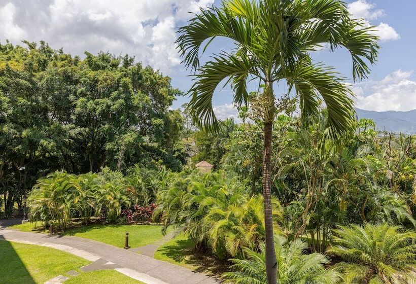 اتاق استاندارد با 2 تخت دوبل, Costa Rica Marriott Hotel Hacienda Belen