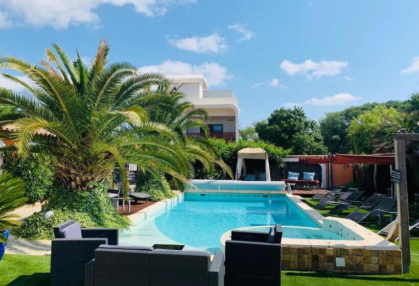 Номер Стандарт, Le Patio 34