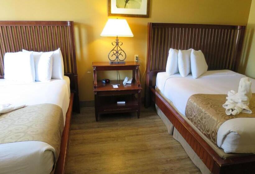 Quarto Estandar, Floridian Express International Drive