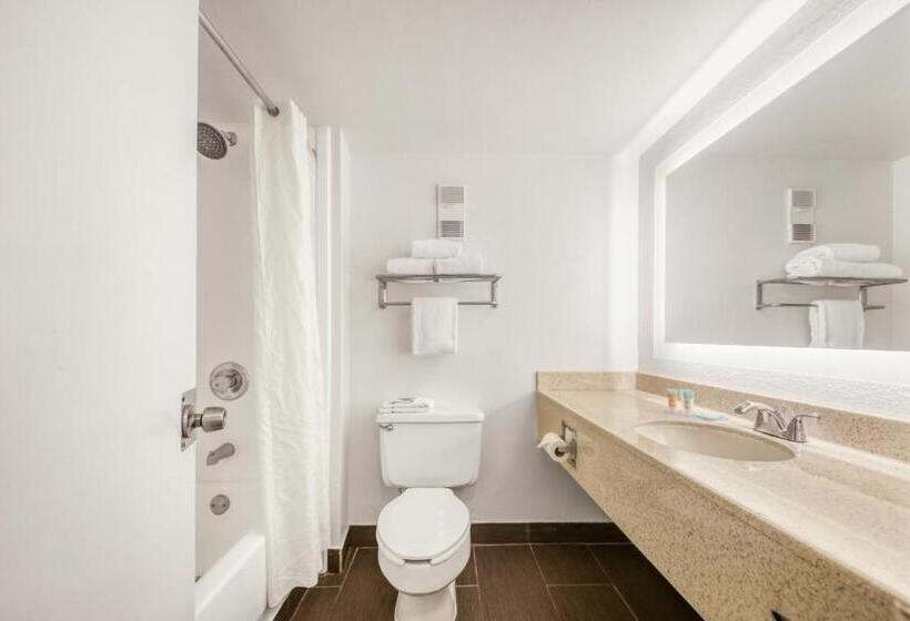 Quarto Estandar Cama King para Deficientes Físicos, Floridian Express International Drive