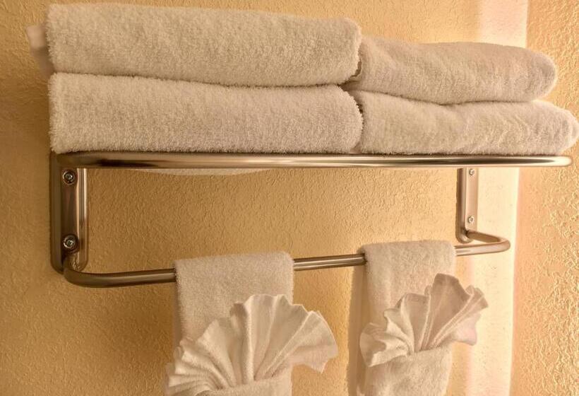 Quarto Estandar Cama King para Deficientes Físicos, Floridian Express International Drive