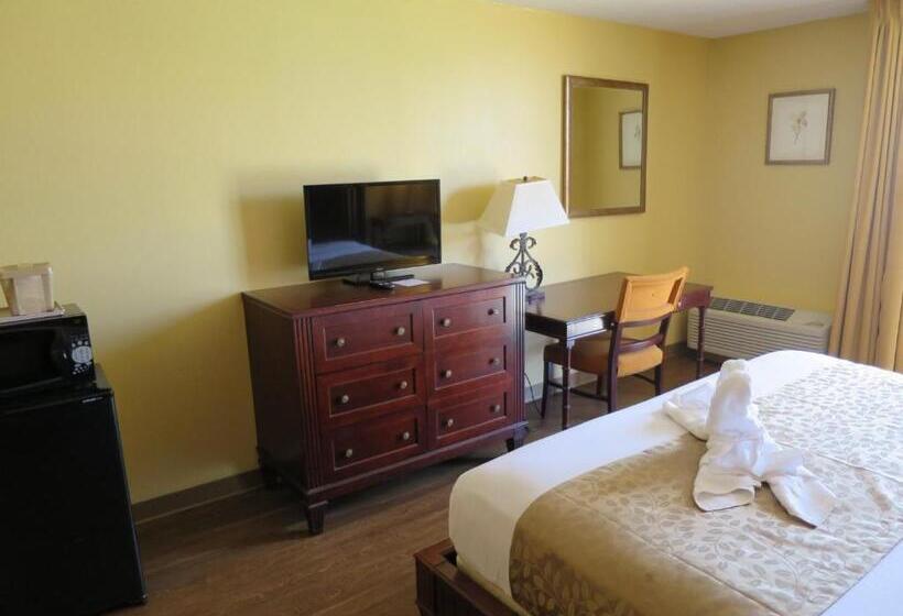 Quarto Estandar Cama King para Deficientes Físicos, Floridian Express International Drive