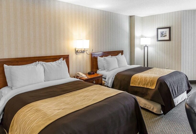اتاق استاندارد با 2 تخت دوبل, Comfort Inn Pentagon City