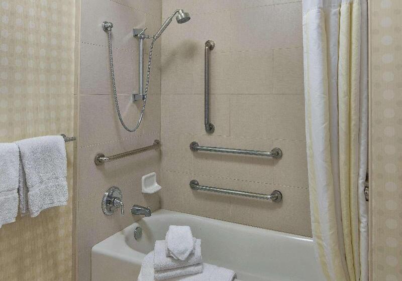 스탠다드 룸 킹사이즈 침대, Hilton Garden Inn Lax  El Segundo