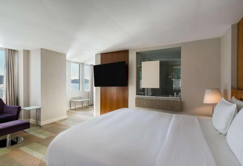 چشم‌اندازهای پهناور سوئیت جونیور, Radisson Blu Bosphorus