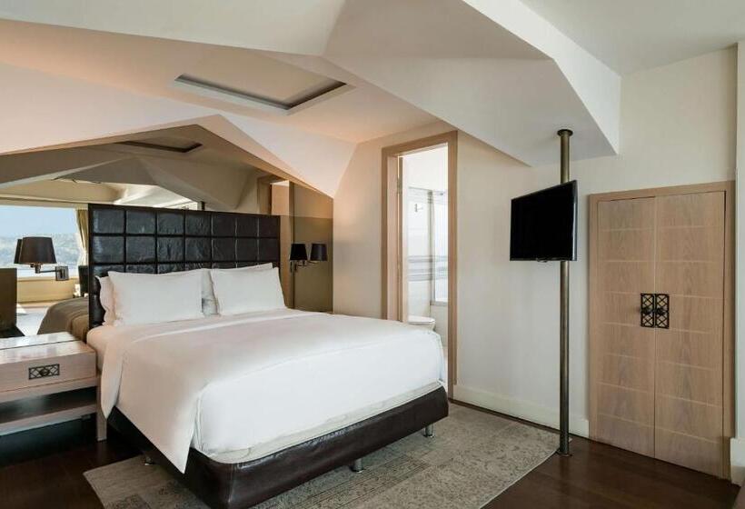سوئیت با چشم‌انداز, Radisson Blu Bosphorus