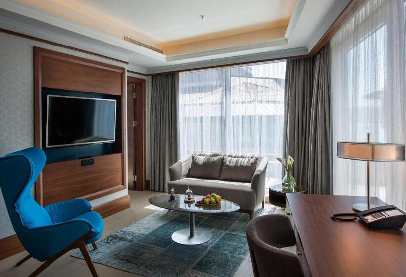 آپارتمان سوپریور 1 خوابه, Radisson Blu Bosphorus