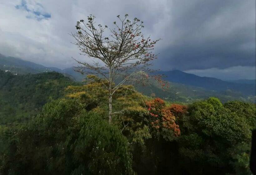 스탠다드 발코니 룸, Palmtree Leaf, Munnar