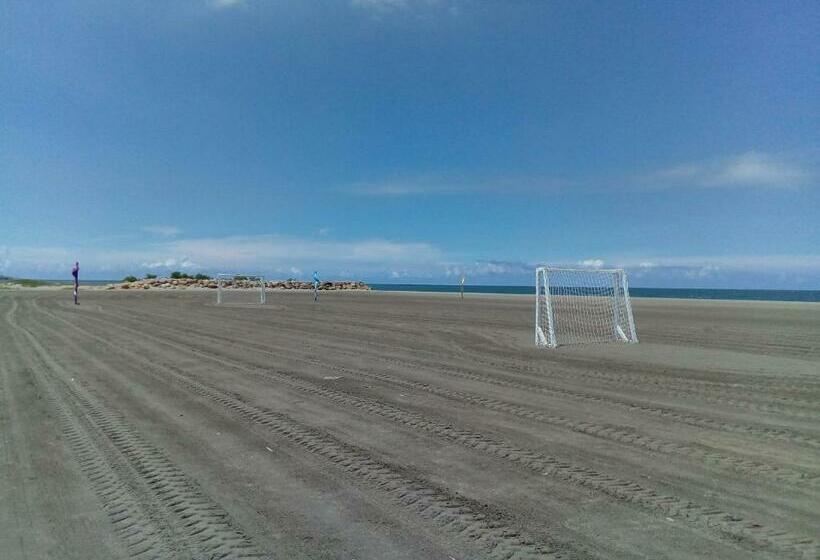 اتاق استاندارد, Junto Al Mar Y El Manglar