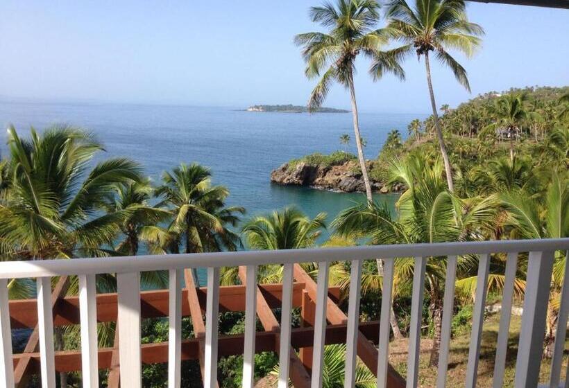 آپارتمان 1 خوابه با چشم‌انداز دریا, Vista Mare Ocean View Top Floor Condo, Samana