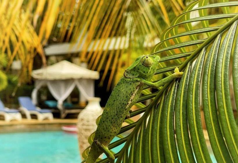 آپارتمان 1 خوابه با تراس, Natural Kendwa Villa
