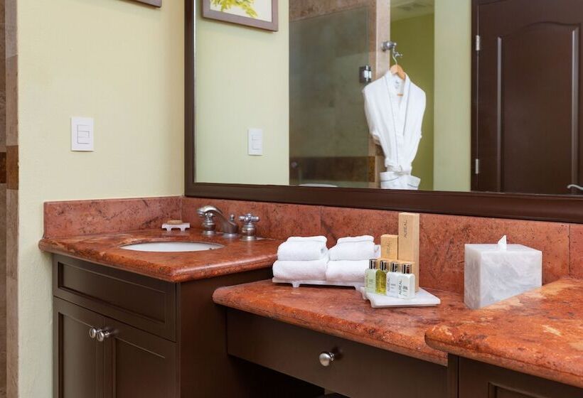 Люкс 2 Спальни, Villa Del Palmar Flamingos Beach Resort & Spa