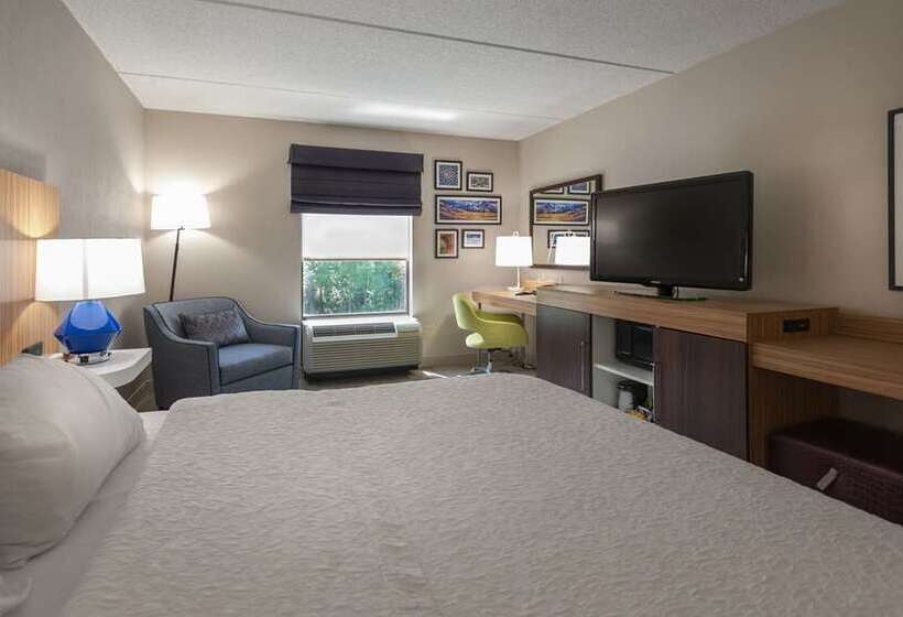 스탠다드 룸 킹사이즈 침대, Doubletree By Hilton Ann Arbor North