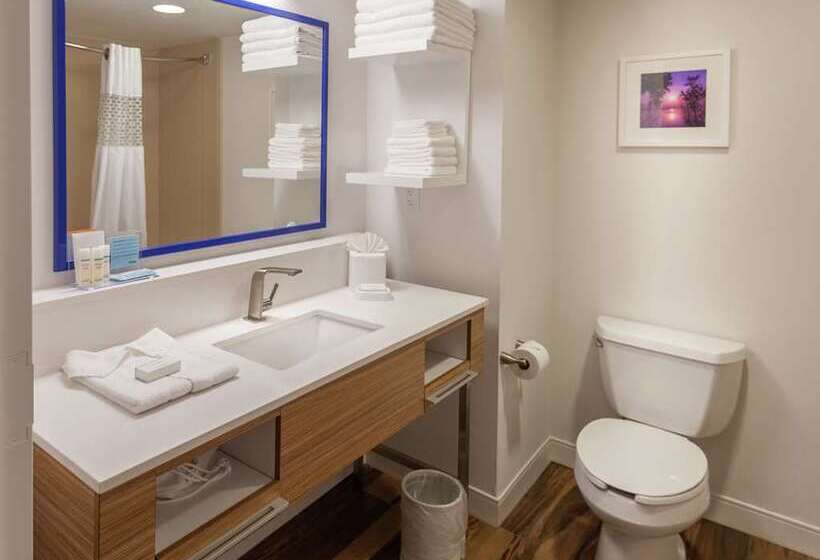 스탠다드 룸 킹사이즈 침대, Doubletree By Hilton Ann Arbor North