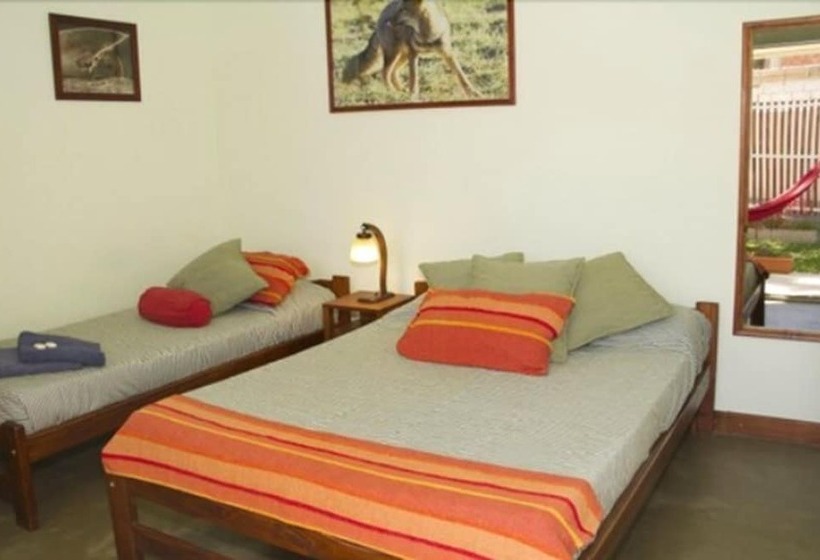 스탠다드 룸, La Tosca Hostel