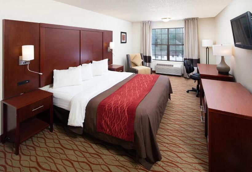 스탠다드 룸 킹사이즈 침대, Red Lion Inn & Suites Auburn