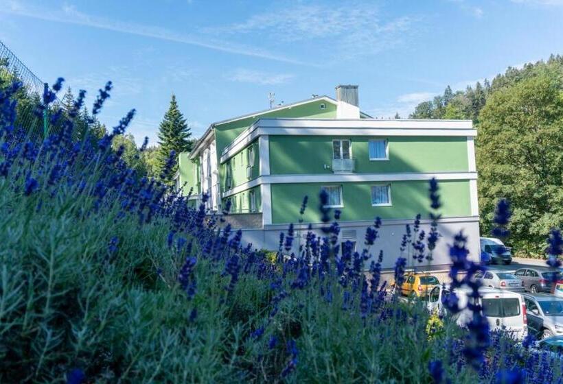 标准间, Wellness Hotel Green Paradise