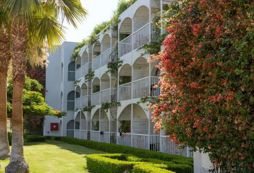 اتاق سوپریور, Desert Rose Resort