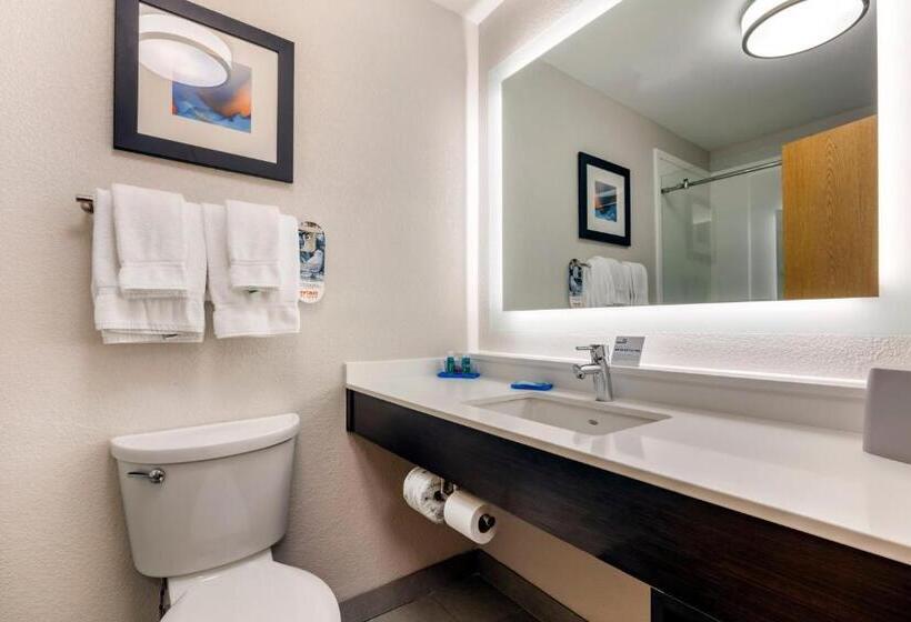 标准间, Holiday Inn Express Metropolis, An Ihg