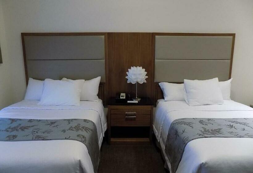 اتاق استاندارد چهار تخته, Americana Inn