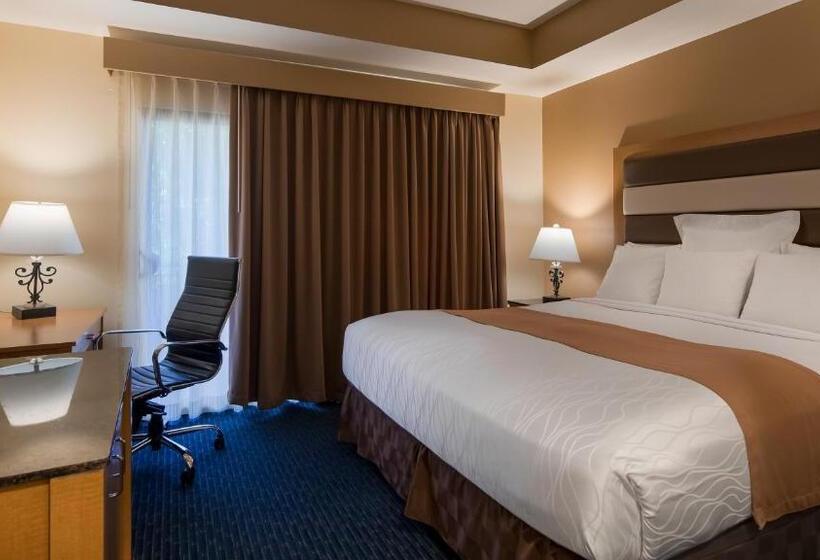 Люкс Адаптированный для Инвалидов, Best Western Plus Palm Desert Resort