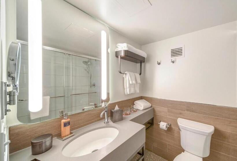 标准间, The Wildbirch Hotel - JdV by Hyatt