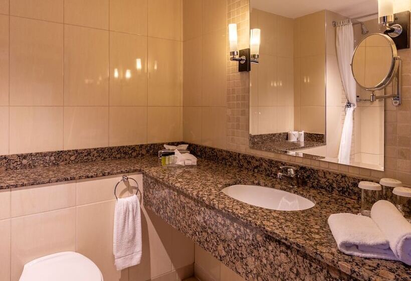 اتاق استاندارد, Carlton Hotel Dublin Airport