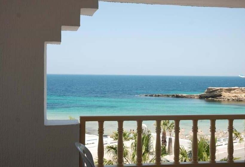 اتاق استاندارد, El Habib