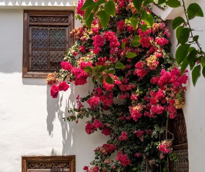 اتاق سوپریور, Riad Alma