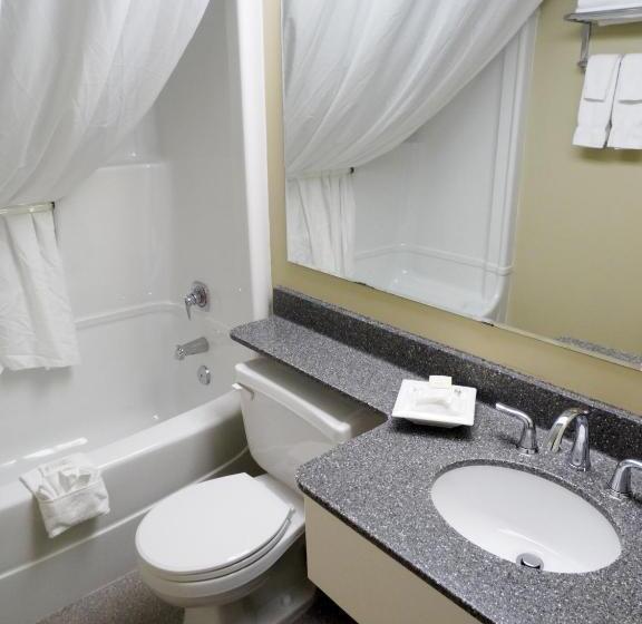 اتاق استاندارد, Amsterdam Inn & Suites Sussex