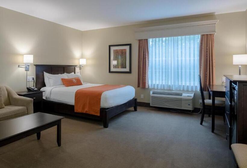 اتاق استاندارد, Amsterdam Inn & Suites Sussex