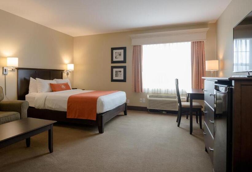 اتاق استاندارد, Amsterdam Inn & Suites Sussex