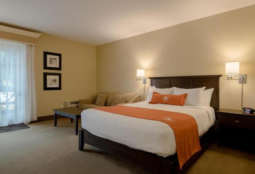 اتاق استاندارد, Amsterdam Inn & Suites Sussex