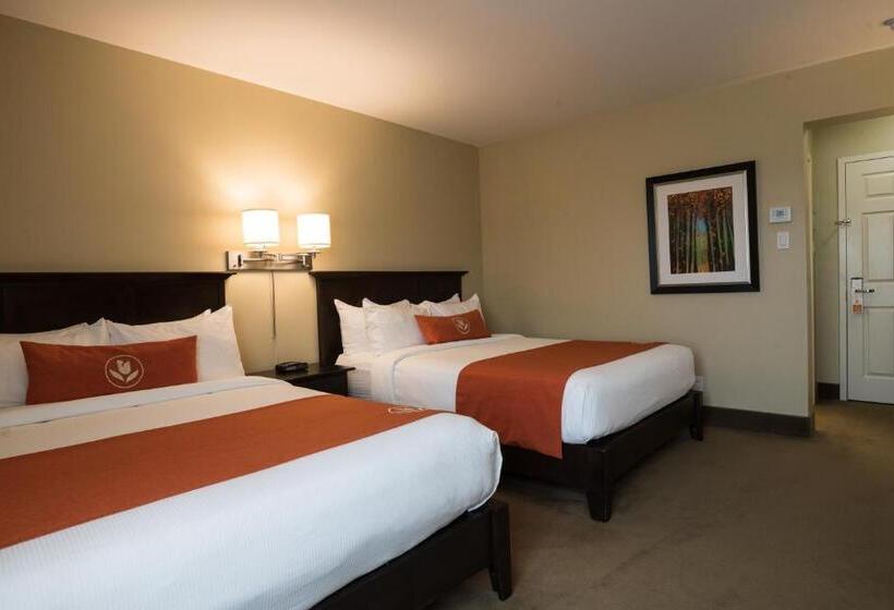 اتاق استاندارد, Amsterdam Inn & Suites Sussex