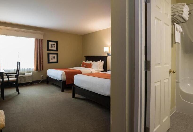 اتاق استاندارد, Amsterdam Inn & Suites Sussex