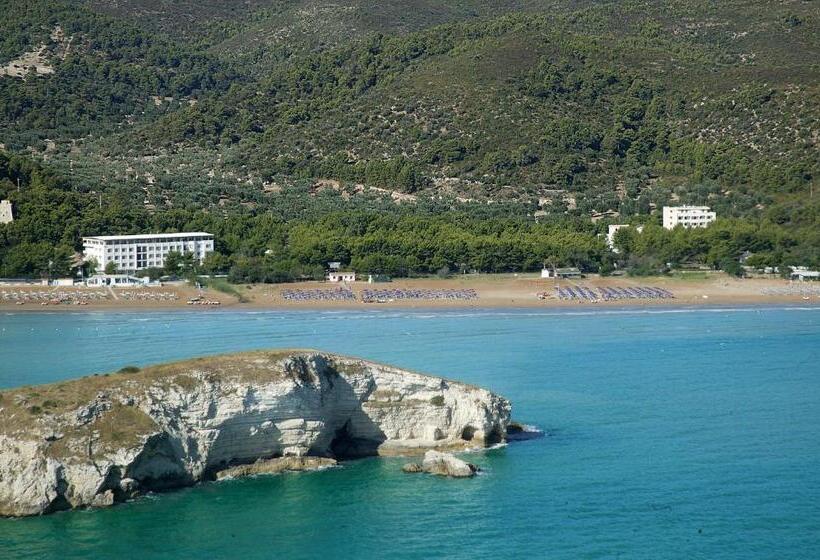 Номер Стандарт, Portonuovo