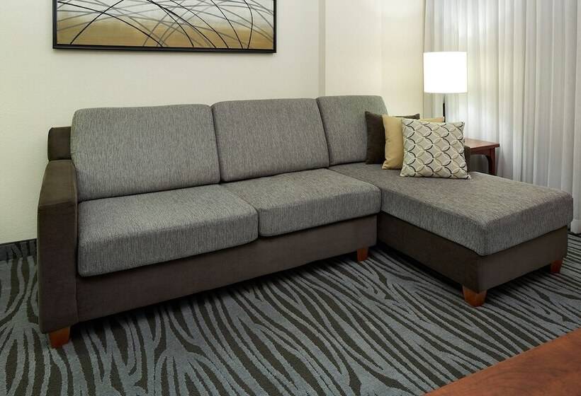 バルコニー付きスタンダードステューディオ, Residence Inn By Marriott Montreal Airport