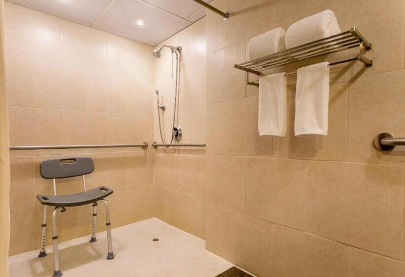 Номер Deluxe Кровать Кинг Вид на Город, Sheraton Grand Panama