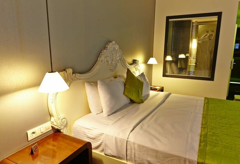 Quarto Estandar, Beyond