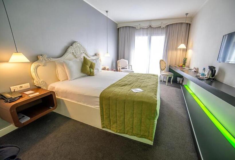 Quarto Estandar, Beyond