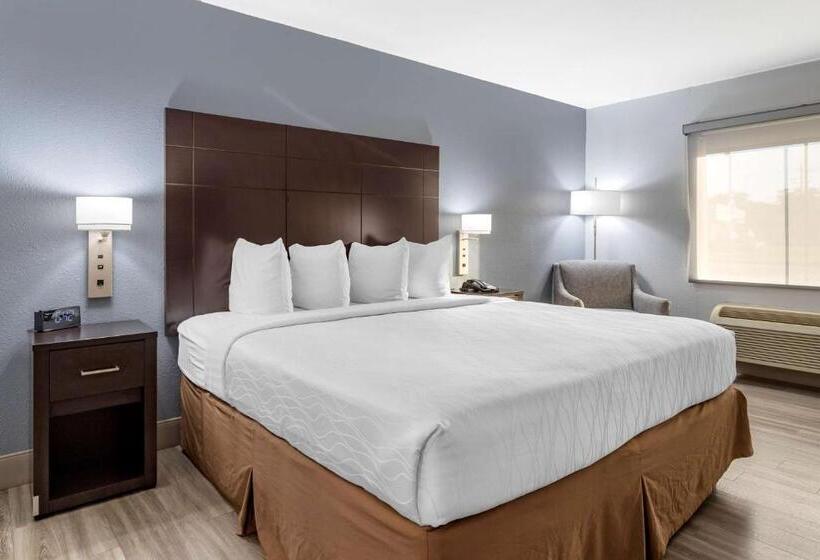 Номер Стандарт Кровать Кинг Адаптированный для Инвалидов, Best Western Plus Orange County